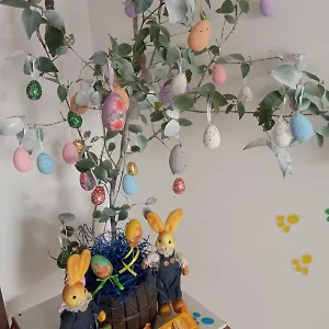  Apartamento No Jardim